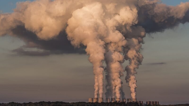 ¿Como el calentamiento global afecta la salud Humana?