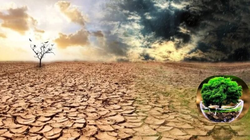 La Tierra: incertidumbre sobre el futuro y sus recursos naturales plantea un gran desafío para la humanidad