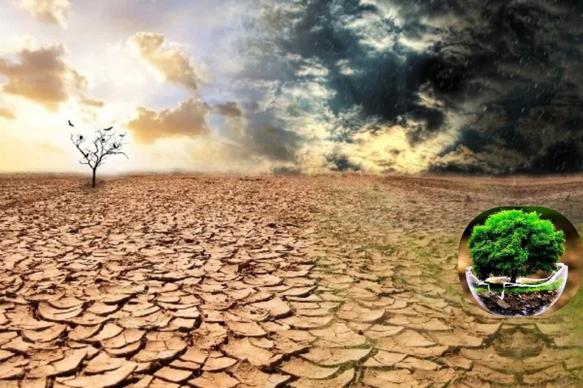 La Tierra: incertidumbre sobre el futuro y sus recursos naturales plantea un gran desafío para la humanidad
