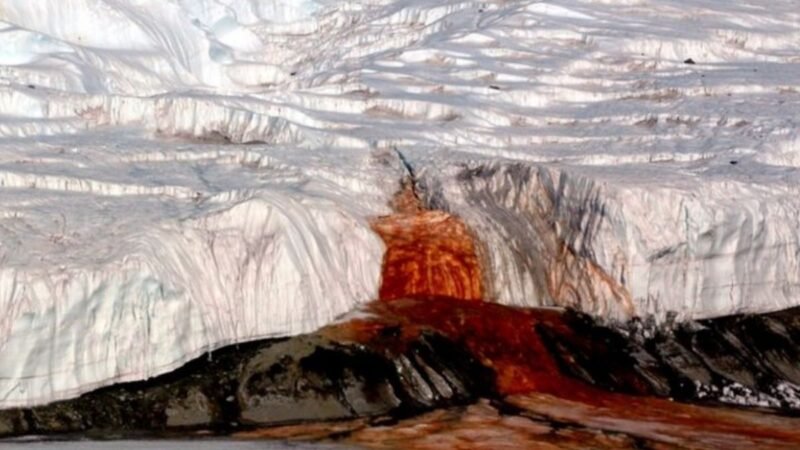 El glaciar que “sangra” representa un fenómeno natural que no solo capta la atención de los científicos