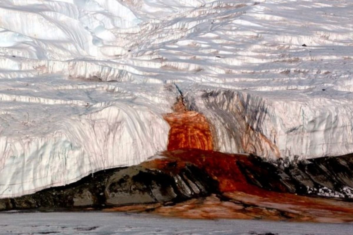 El glaciar que “sangra” representa un fenómeno natural que no solo capta la atención de los científicos